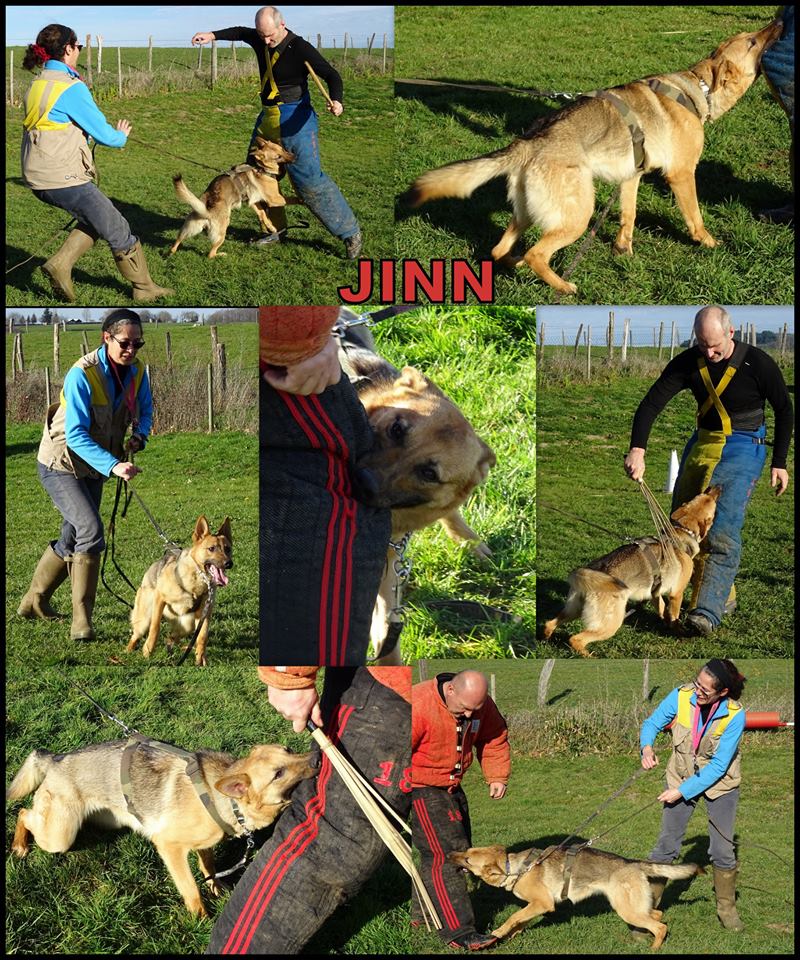 jinn 1an.jpg